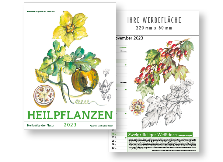 Foto von "Heilpflanzen 245"